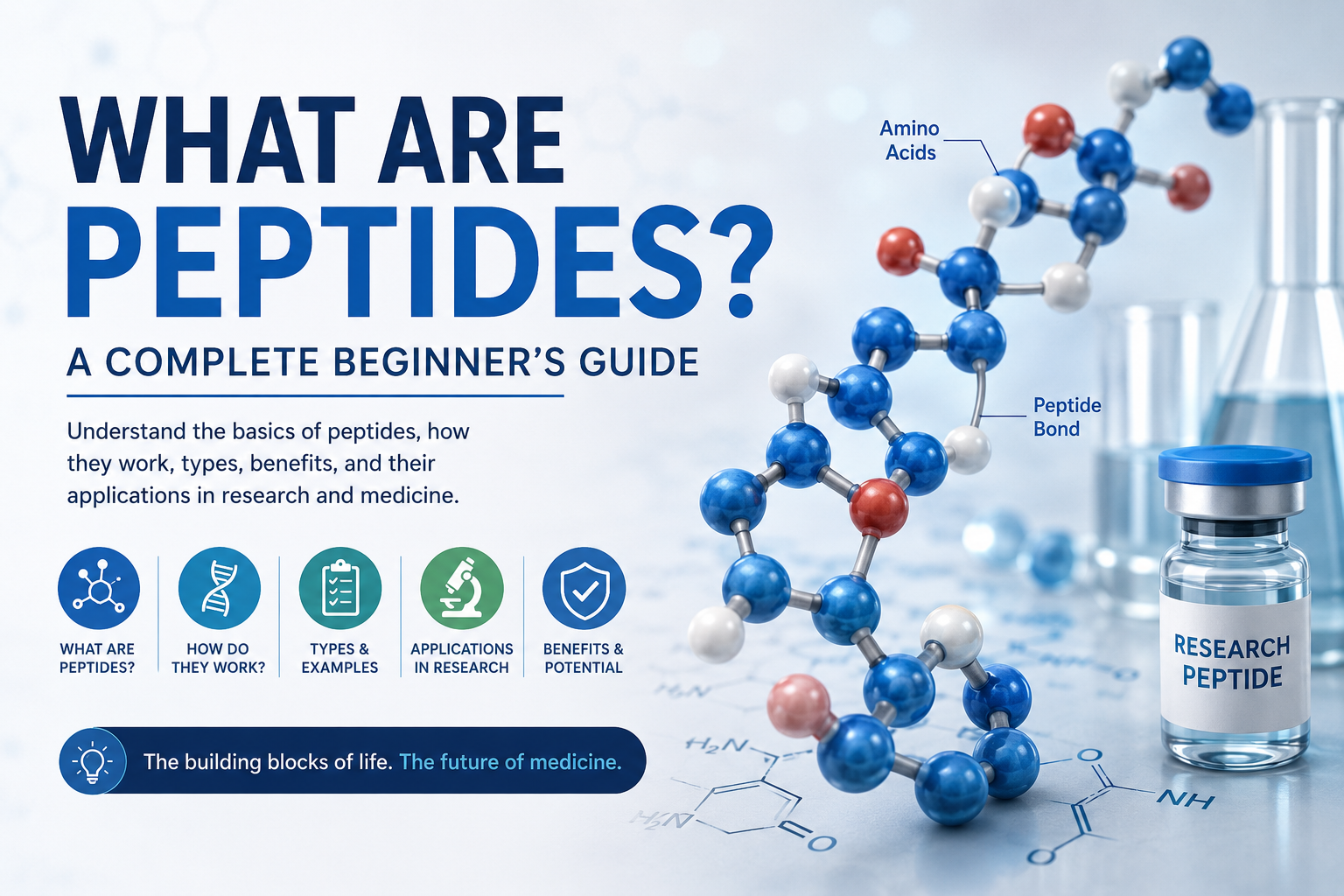 What Are Peptides ?